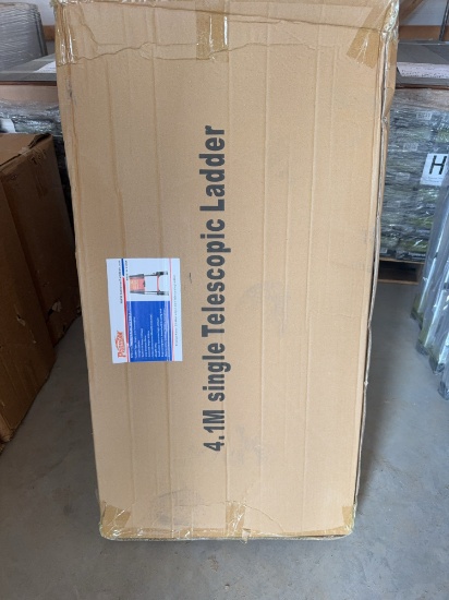 13 step single telescopic ladder