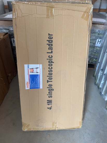 13 step single telescopic ladder