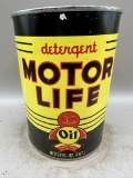 Detergent Motor Life