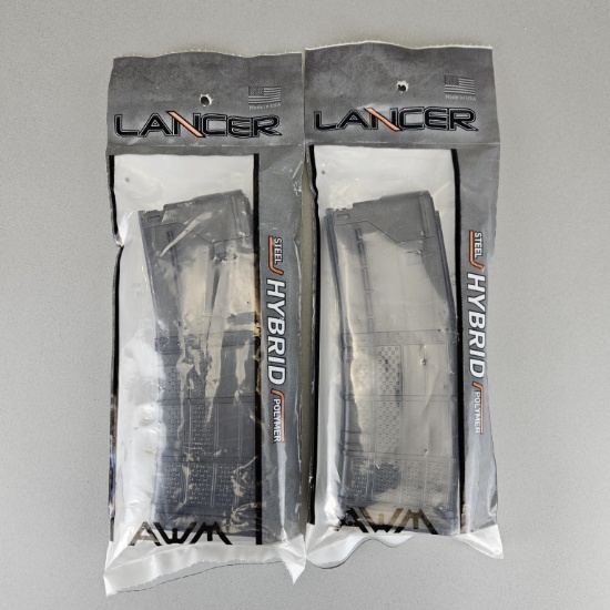 2 - Lancer Hybrid 30rd Rifle Magazines