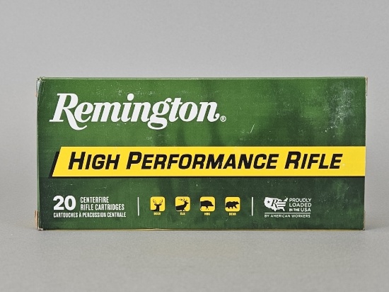 20rd Remington 45-70 GOVT 300gr SJHP Ammo