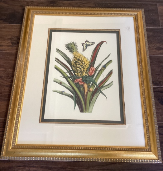 Framed Matted Pineapple Print