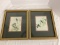 Pair of Vintage John Gould Framed and Matted Hummingbird Prints