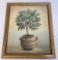 Olive Tree Framed Print