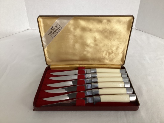 Set of Six Robeson Germany Stainless Steak Knives in Case