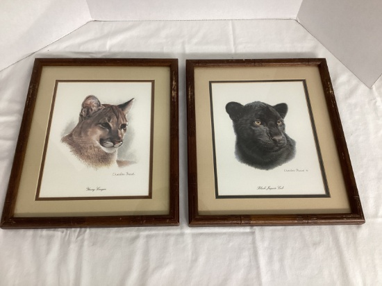Charles Frace "Young Cougar" and "Black Jaguar Cub" Framed and Matted Prints