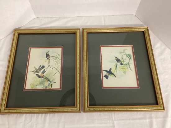 Pair of Vintage John Gould Framed and Matted Hummingbird Prints