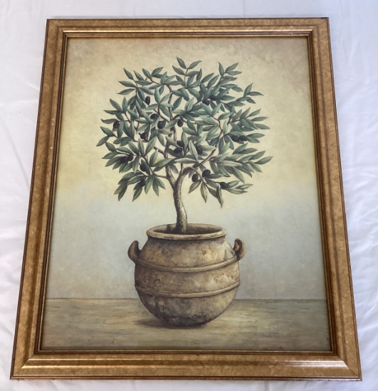 Olive Tree Framed Print