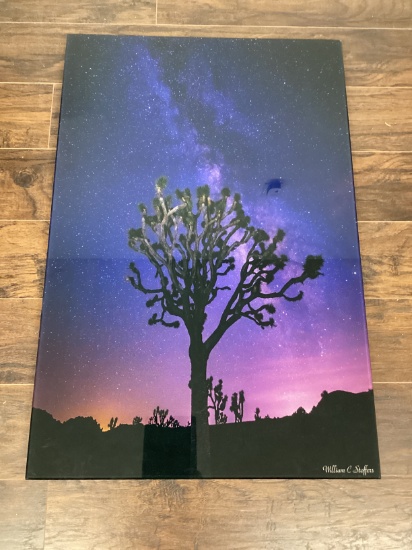 William C Stoffers Desert Tree on Lucite