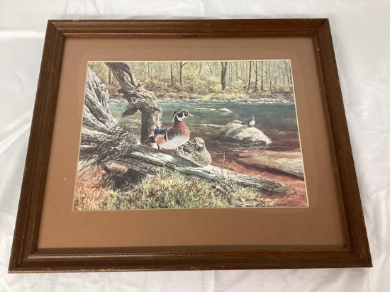 Wood Ducks Framed and Matted Print