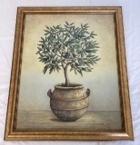 Olive Tree Framed Print