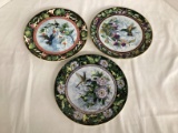 Three Franklin Mint Royal Doulton Theresa Politowicz Hummingbird Plates
