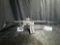 MOSSBERG MOD 715T AR22 22 CAL 