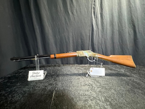 HENRY GOLDEN BOY 17 HMR SN#GB010348V