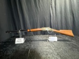 HENRY GOLDEN BOY 17 HMR SN#GB010348V