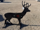 Buck Target