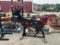 3/8 in AR500 Steel Deaar Shooting Target w/ Heart Flapper