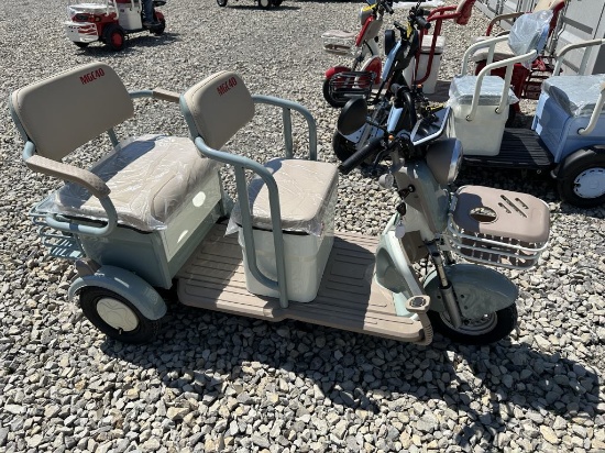Irgc40 New Mini Golf Cart