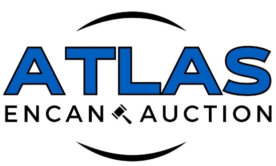WELCOME TO THE AUCTION