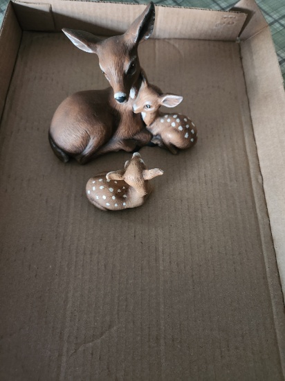 Deer