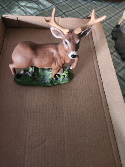 Buck