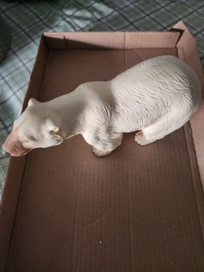 Polar bear
