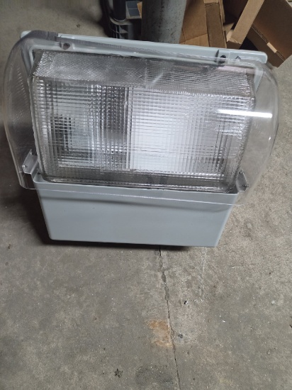 New wall light with battery pack IV 100 watt 120 volt
