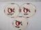 (3) PIECE VINTAGE PURINTON SLIPWARE DINNER PLATES IN APPLE PATTERN