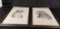 SET OF (2)  JAMES A. TURNER, JR. RAPTOR / EAGLE PRINTS
