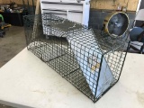 Animal Trap