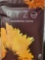 Ryze Mushroom Coffee Organic (30 Servings) 5.29 Ounce (Pack of 1)