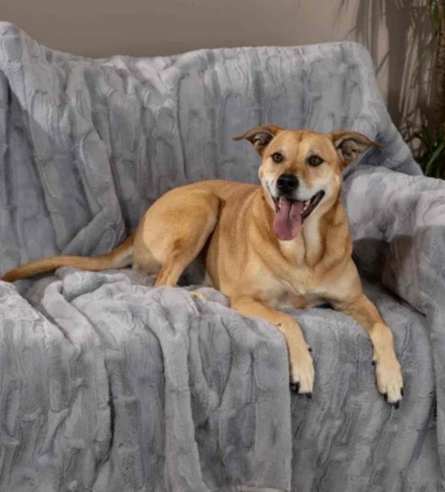 Brentwood Originals Oversized Waterproof Pet Blanket and Furniture Protector
