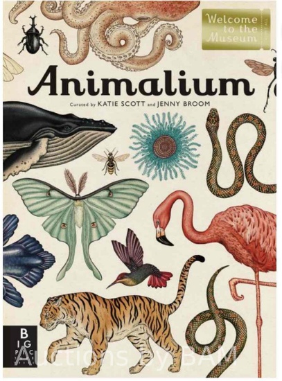 Welcome to the Museum Animalium: Welcome to the Museum