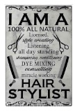 Vintage Metal Tin Sign Hair Stylist Vertical Poster