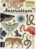 Welcome to the Museum Animalium: Welcome to the Museum