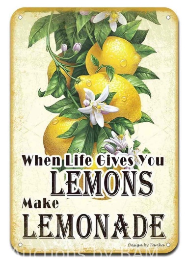 When Life Gives you Lemons Make Lemonade Iron Poster Painting Tin Sign Vintage Wall Decor