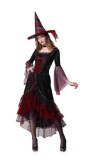 Halloween Witch Costume for Adults