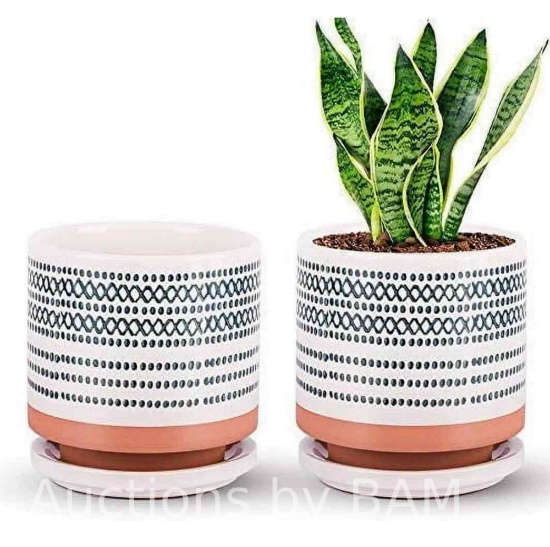 Succulent Pots, 5 Inch Ceramic Planter Plant Pot with Porcelain Saucer, Drainage Hole for Snake