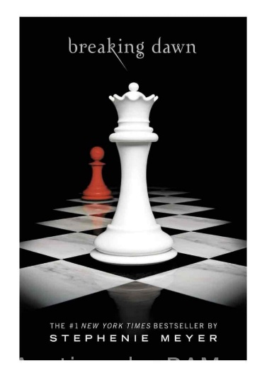 Twilight Saga Breaking Dawn Book 4 Hardcover