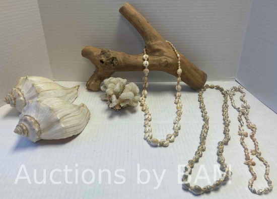 PETRIFIED WOOD, SEA SHELLS, CORAL & SHELL NECKLACES
