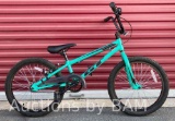 GT KIDS? BERM 20? WHEELS BMX BIKE W STEEL FRAME $240