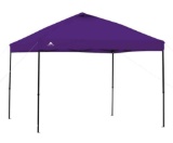 Ozark Trail 10 x 10 Purple Instant Outdoor Canopy