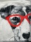 Cute Animals in Glasses 46 x 60 Super Plush Throw Blanket