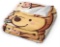 Super soft Winnie The Pooh blanket comfortable blanket suitable for sofa office bed car comfortable