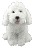 Scruffles the Dog 16-Inch Plush Toy - Adorable Curly Labradoodle Puppy, Perfect Gift for Kids