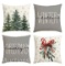 Smile Merry Christmas Tree Hello Winter Throw Pillow Covers, 20 x 20 Inch Mistletoe Pine Spruce