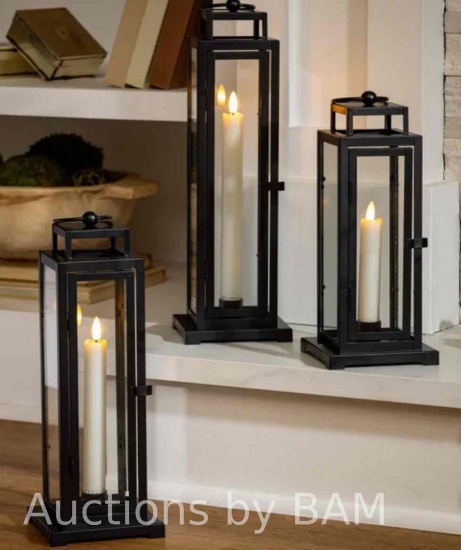 Evergreen Lantern 3-Pack