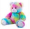 Record Your Own Plush 16 inch Rainbow Bear - Ready 2 Love in a Few Easy Steps