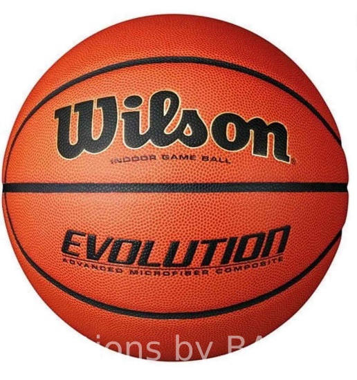 Wilson Evolution Official Game Basketball - 29.5