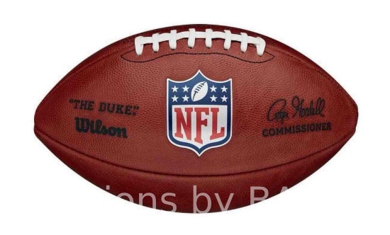 Wilson The Duke NFL Football